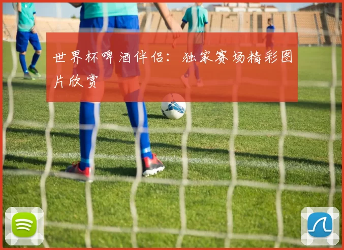世界杯啤酒伴侣：独家赛场精彩图片欣赏
