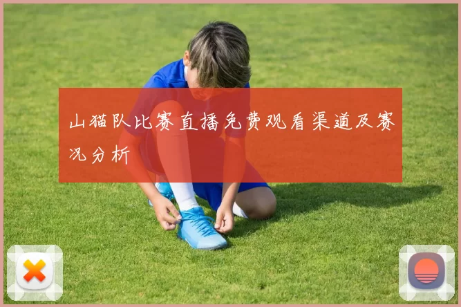 山猫队比赛直播免费观看渠道及赛况分析