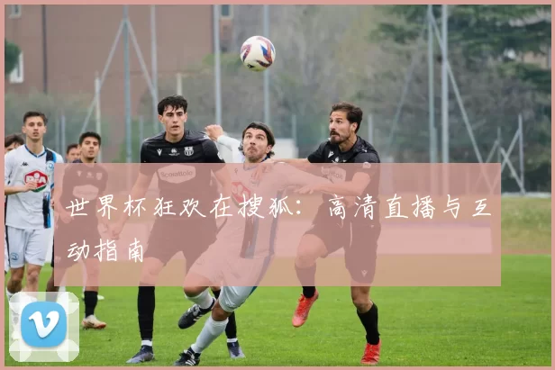 世界杯狂欢在搜狐:高清直播与互动指南