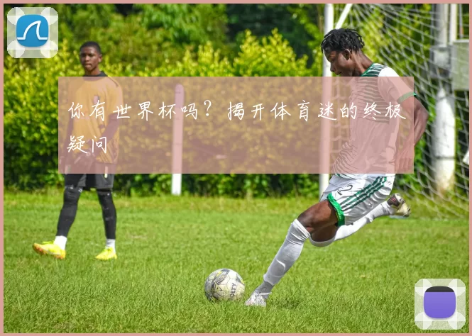 你有世界杯吗？揭开体育迷的终极疑问