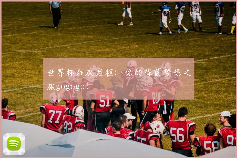 世界杯狂欢启程：你的绿茵梦想之旅gogogo！