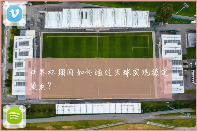 世界杯期间如何通过买球实现稳定盈利?