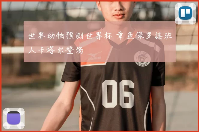世界动物预测世界杯 章鱼保罗接班人卡塔尔登场