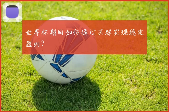 世界杯期间如何通过买球实现稳定盈利？