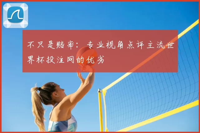 不只是赔率：专业视角点评主流世界杯投注网的优劣