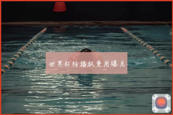 世界杯转播权费用曝光