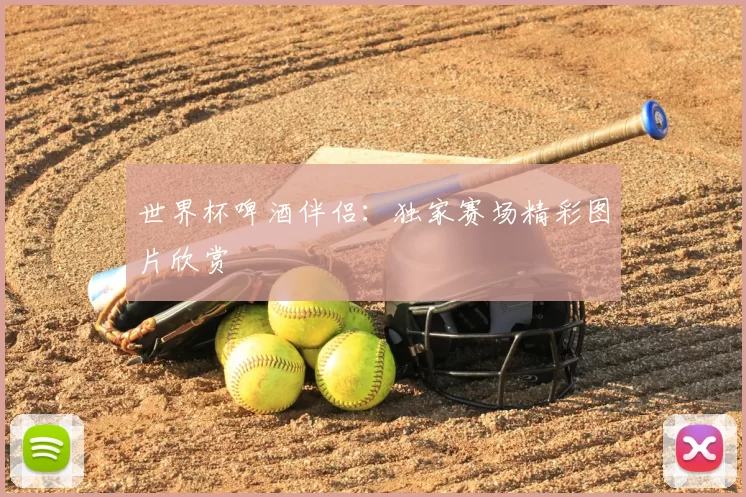 世界杯啤酒伴侣：独家赛场精彩图片欣赏