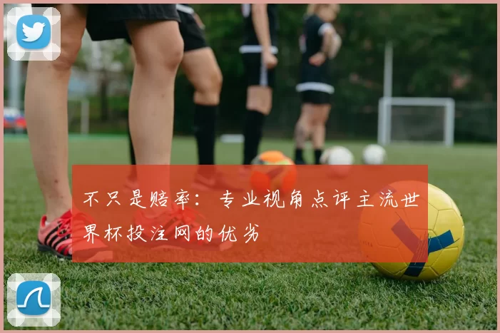 不只是赔率：专业视角点评主流世界杯投注网的优劣