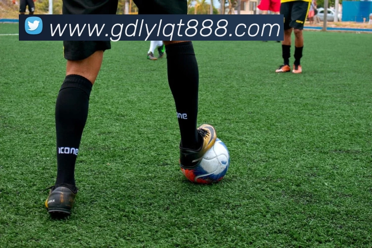 奖项1